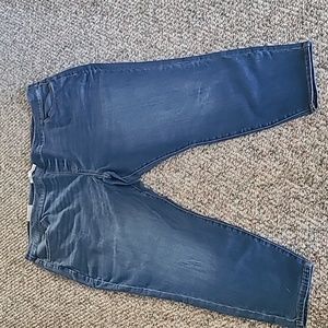 SONOMA BRAND WOMENS PLUS SIZE BLUE JEAN JEGGINGS SIZE 30W